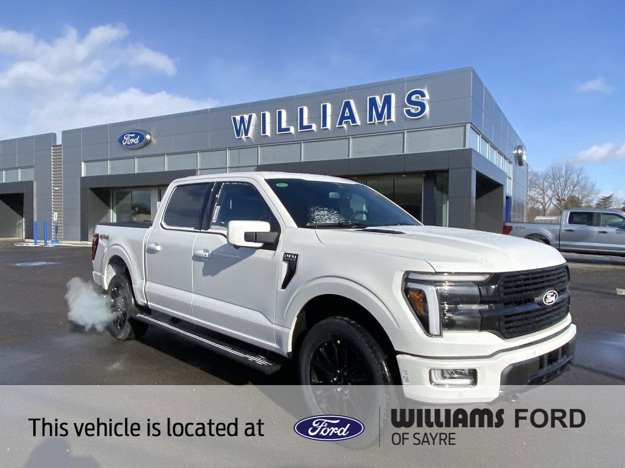 2025 Ford F-150 Platinum