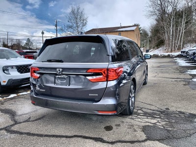 2024 Honda Odyssey Touring