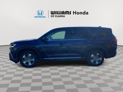 2024 Honda Pilot EX-L 8 Passenger