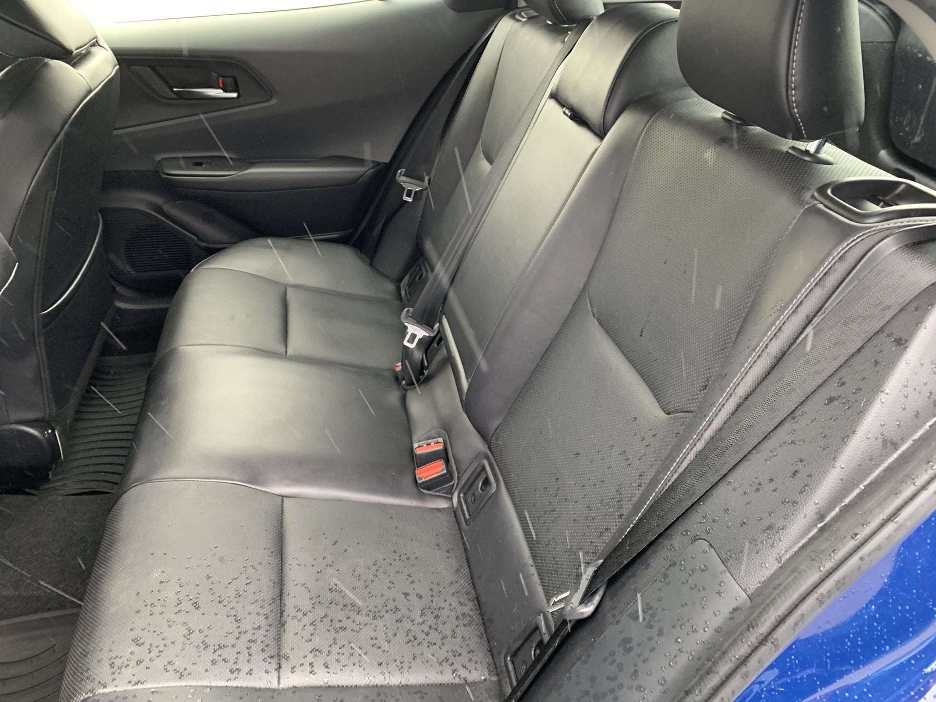 2024 Toyota Prius XLE